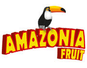 merica foods amazonia fruit