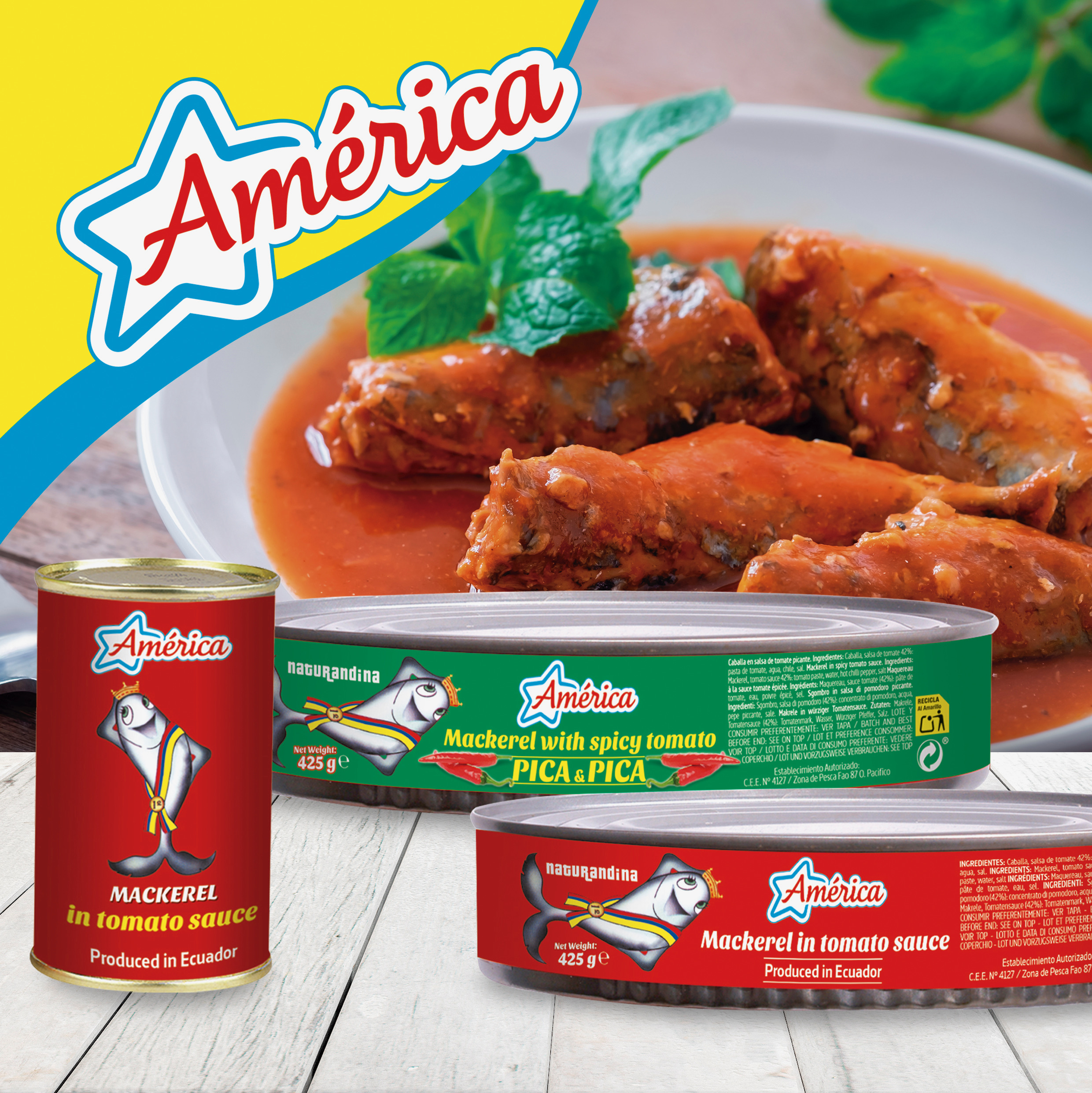 América 9svg+xml;charset=utf svg+xml;charset=utf