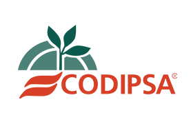 codipsa logo.png